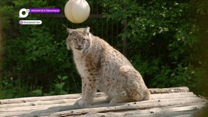 Weekend в Приморье. Зоопарк «Садгород»