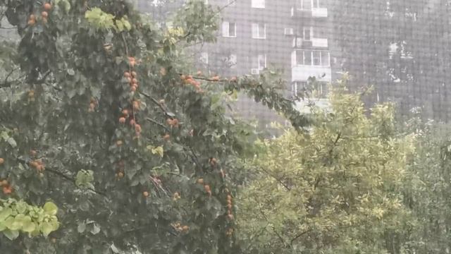 Ливень.