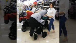 Коляска Indigo Alma 2 в 1