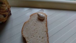 соус Махеев (сметанный с грибами)