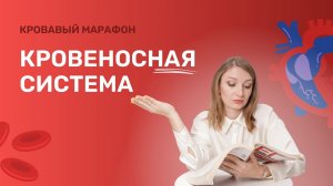 Кровавый марафон. Урок 3