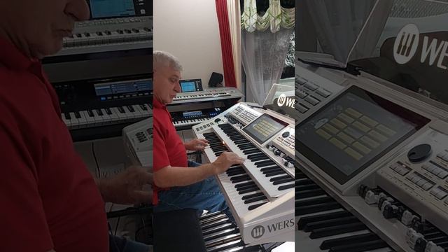 Hans Wersi 2022 смотреть онлайн