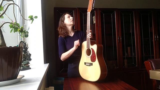 Обзор 12-струнной гитары  Sqoe J20