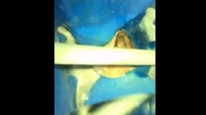 2020_07_24_Философия и анекдоты