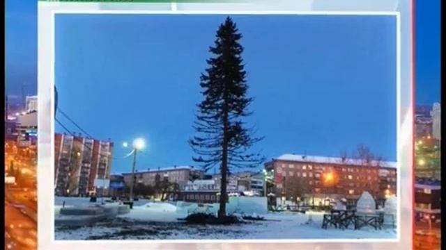 Лысые елки - тренд Челябинской области. Новогоднее дерево шокировало копейчан