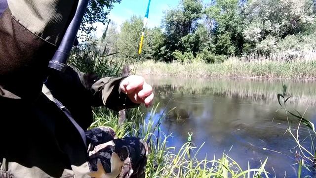 Рыбалка на ПОПЛАВОК в ИЮНЕ | Змеи хотят забрать весь улов | Поймал редкую рыбу нашей реки! смотреть онлайн