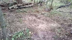 Империя бывает разной! Коп с теркой 705. X-terra 705.