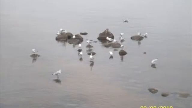 Путешествие в Петербург смотреть онлайн