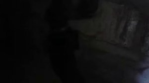 Злой ротвейлер