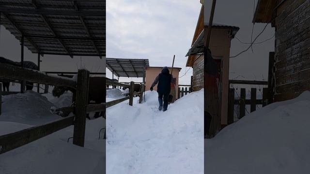 Копаем всю зиму и трындим. Движение это жизнь, правда же? ?
Или та ну его это движение?