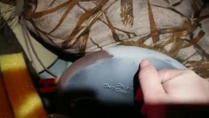 Чучела Avian-x стойкость окраски! Должно ли так быть?