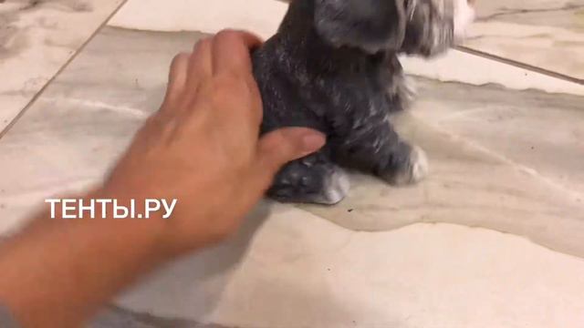 САДОВАЯ ФИГУРА ЩЕНОК МИТТЕЛЬШНАУЦЕРА (КОПИЛКА) Н-19СМ, L-15СМ смотреть онлайн