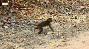 Marcus angry & hard warning on Kari that screaming Felix, Kari hurt cry so much.