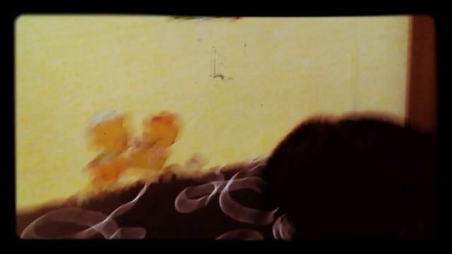 Найди кота😻😼😽🙀 смотреть онлайн