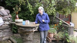 Баковая смесь - что это такое и как её приготовить