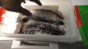 БЫСТРАЯ ЗАСОЛКА, И ВЯЛЕНИЕ РЫБЫ, просто и БЕЗОПАСНО!