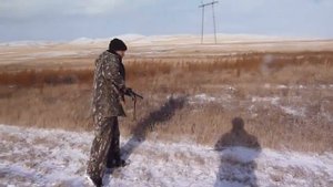 Охота на зайца в степи