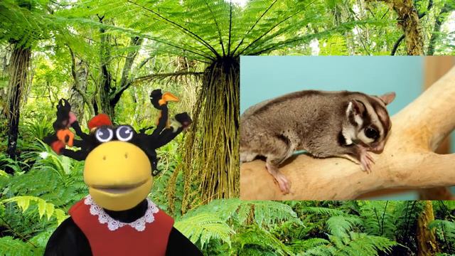 Карликовый поссум смотреть онлайн