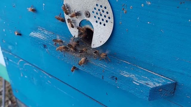 23 марта 2023 г. смотреть онлайн