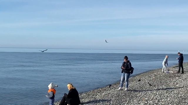 18.12.2022. Погода в Сочи в декабре. Смотри на Чёрное море каждый день. смотреть онлайн