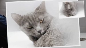 5 лайфхаков с китовым объективом