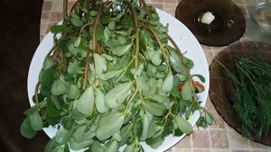 ПОРТУЛАКОВЫЙ САЛАТ !!! Пока лето не жалейте ЕШЬТЕ больше ЗДОРОВЕЙТЕ !!!