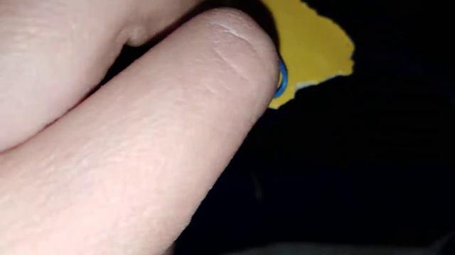 Что нужно для шиншиллы