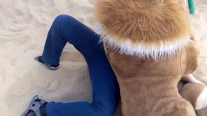 Геракл против немецкого льва