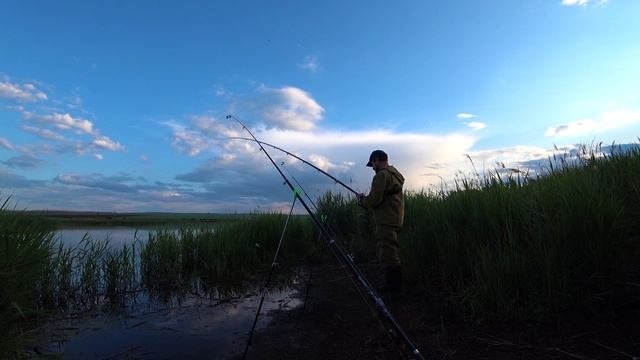 СХВАТИЛ В ПОСЛЕДНИЙ МОМЕНТ.РЫБАЛКА НА ДОНКИ.