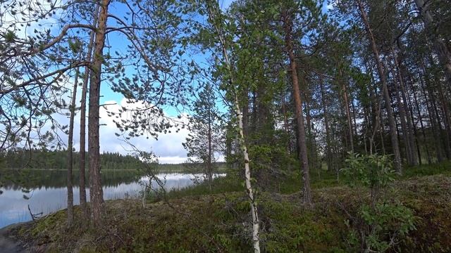 Тикшеозеро, Северная Карелия (сплав и рыбалка 2022)