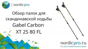 Gabel Carbon XT 2S 80 FL карбоновые телескопические палки с когтем
