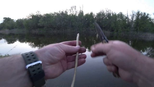 ЖОР САЗАНА НОЧЬЮ Рыбалка с берега на донки 2023 #рыбалка #сазан смотреть онлайн