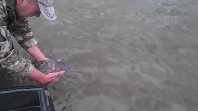 водоём "Разлив", с.Просянка, Ставропольский край