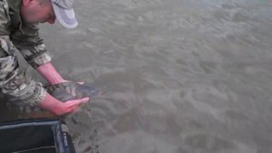 водоём "Разлив", с.Просянка, Ставропольский край