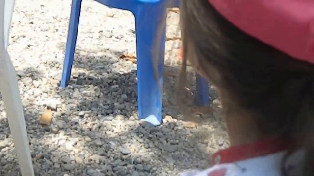 пхукет као лак смотреть онлайн