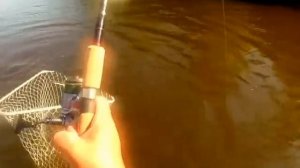 Рыбалка на Оби в Инкино. Томская область.