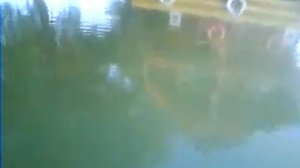 Ловля с дебаркадера