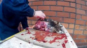 Как я разделываю утку