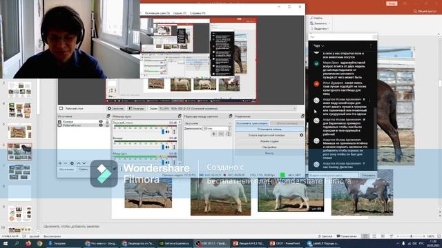 Кормление ягнят на подсосе смотреть онлайн