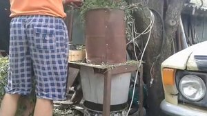 измельчитель травы / chopper grass