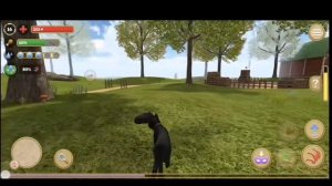 Баг в игре Симулятор кота и кошки