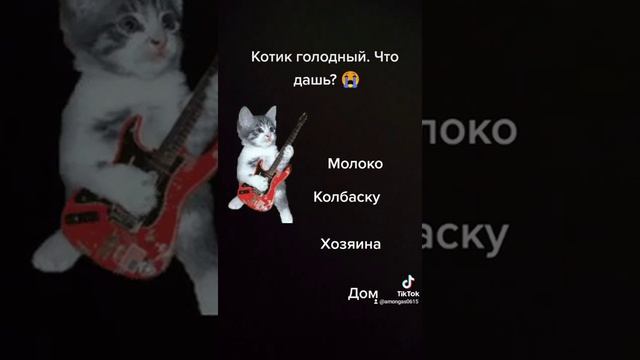 Симба, я люблю тебя! #Симба