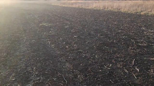 Коп у соседа в огороде. смотреть онлайн