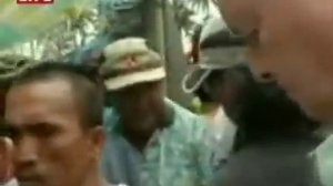 лошадиные бои