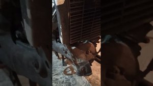 ST1100 подготовка к полному ТО с заменой ремня ГРМ, роликов и дисков сцепления.