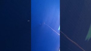 Как заклеить каркасный бассейн не сливая воду