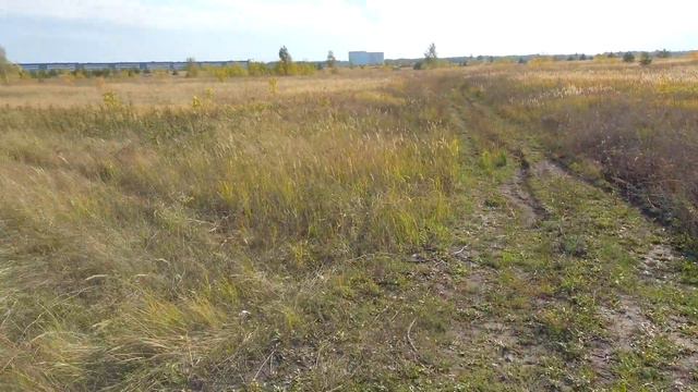 ААА! СИРЕНОГОЛОВЫЙ в реальной жизни ОН СУЩЕСТВУЕТ!? смотреть онлайн