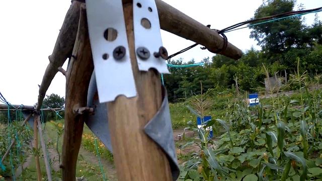 каркакс шпалера для высокорослых индетерменантных помидор томатов