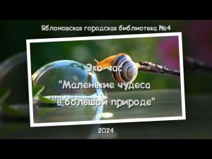 Эко-час «Маленькие чудеса в большой природе». ЯГБ №4