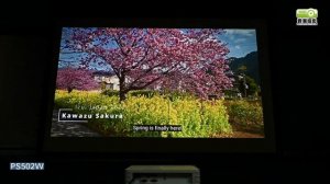 【開箱】ViewSonic PS502W 4,000 ANSI 流明 WXGA 短焦商用&教育用投影機